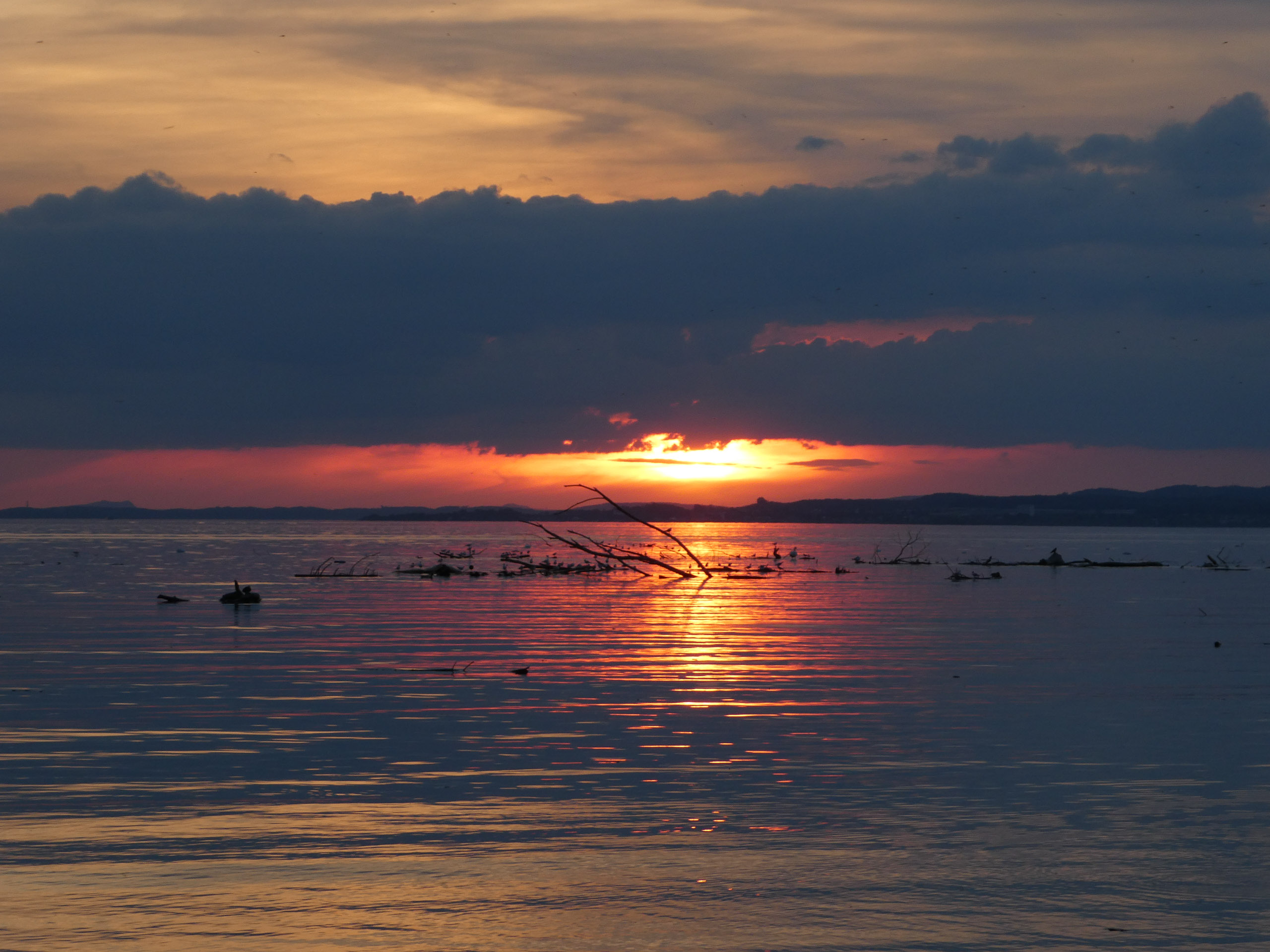 20230506204034 P1000208